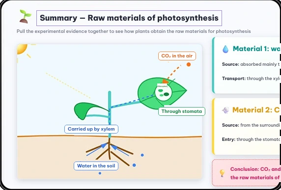 Fine-tuning: an editable photosynthesis lesson